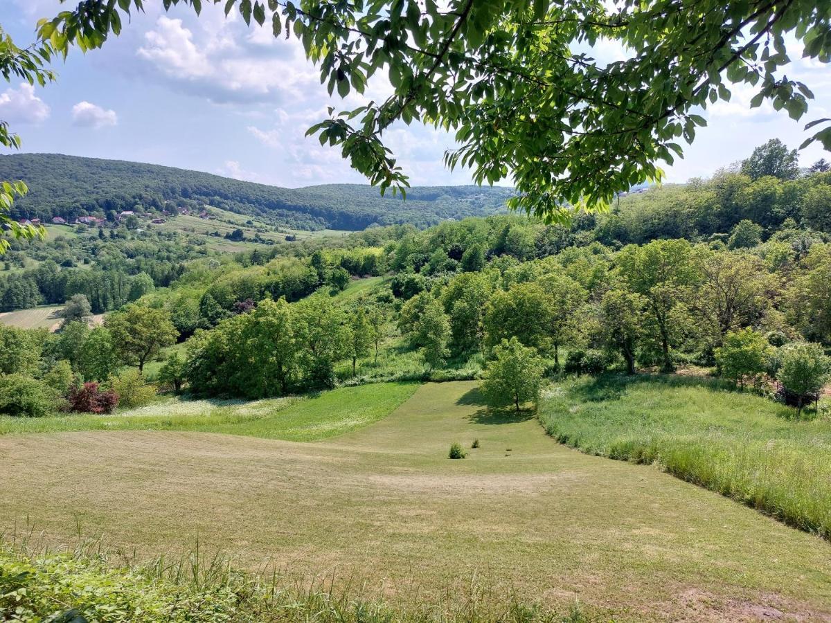 Holiday Home Franky Varazdin Breg المظهر الخارجي الصورة